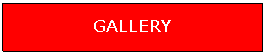 Text Box: GALLERY